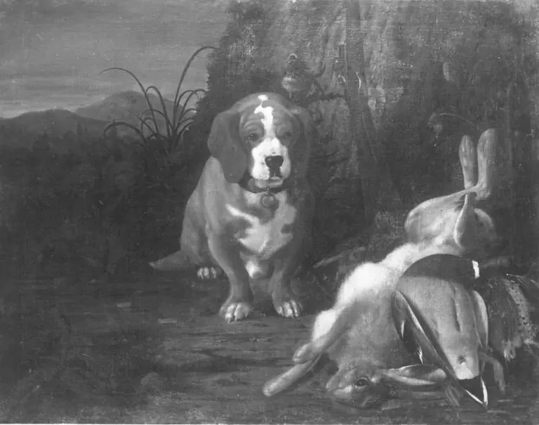 Dachshund mit totem Hasen und Wildente, by Johann Jacob Marchand