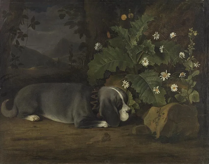 Hundeporträt, by Johann Jacob Marchand, unspecified
