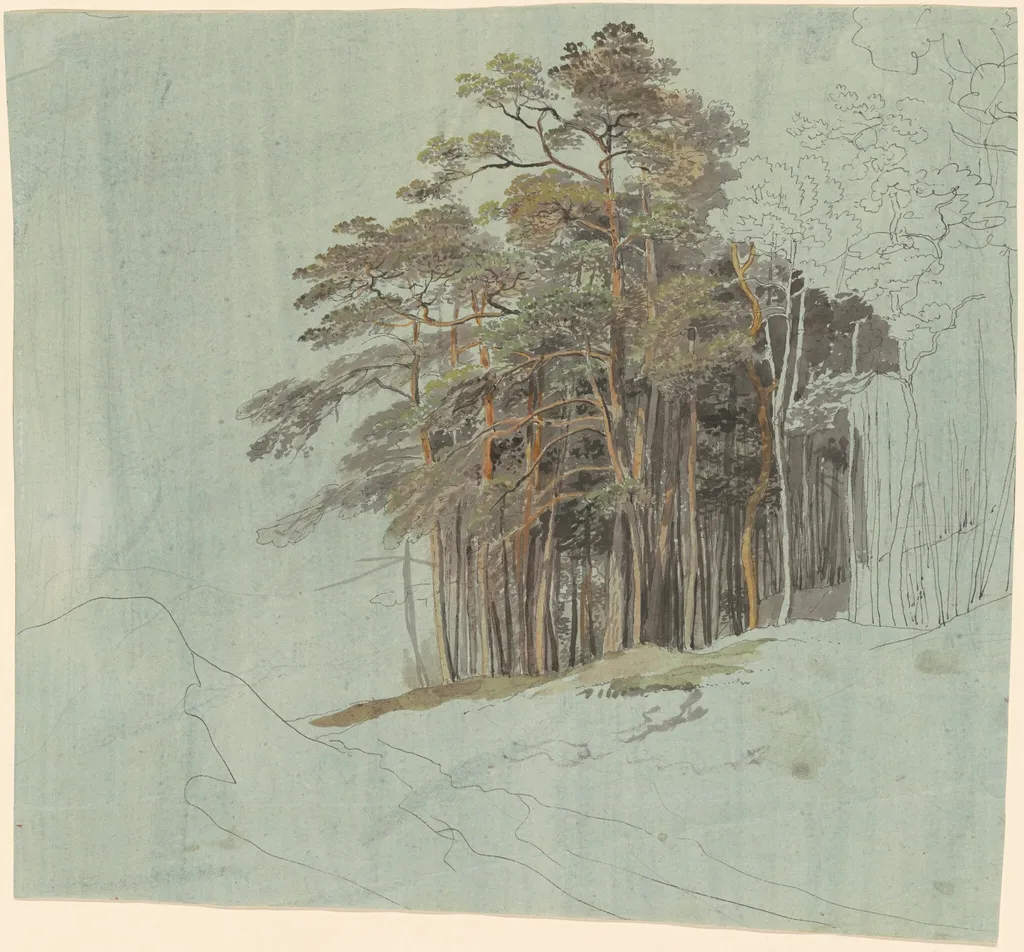 A Study of Pine Trees, by Johann Jakob the younger Dorner, gouache, 1820