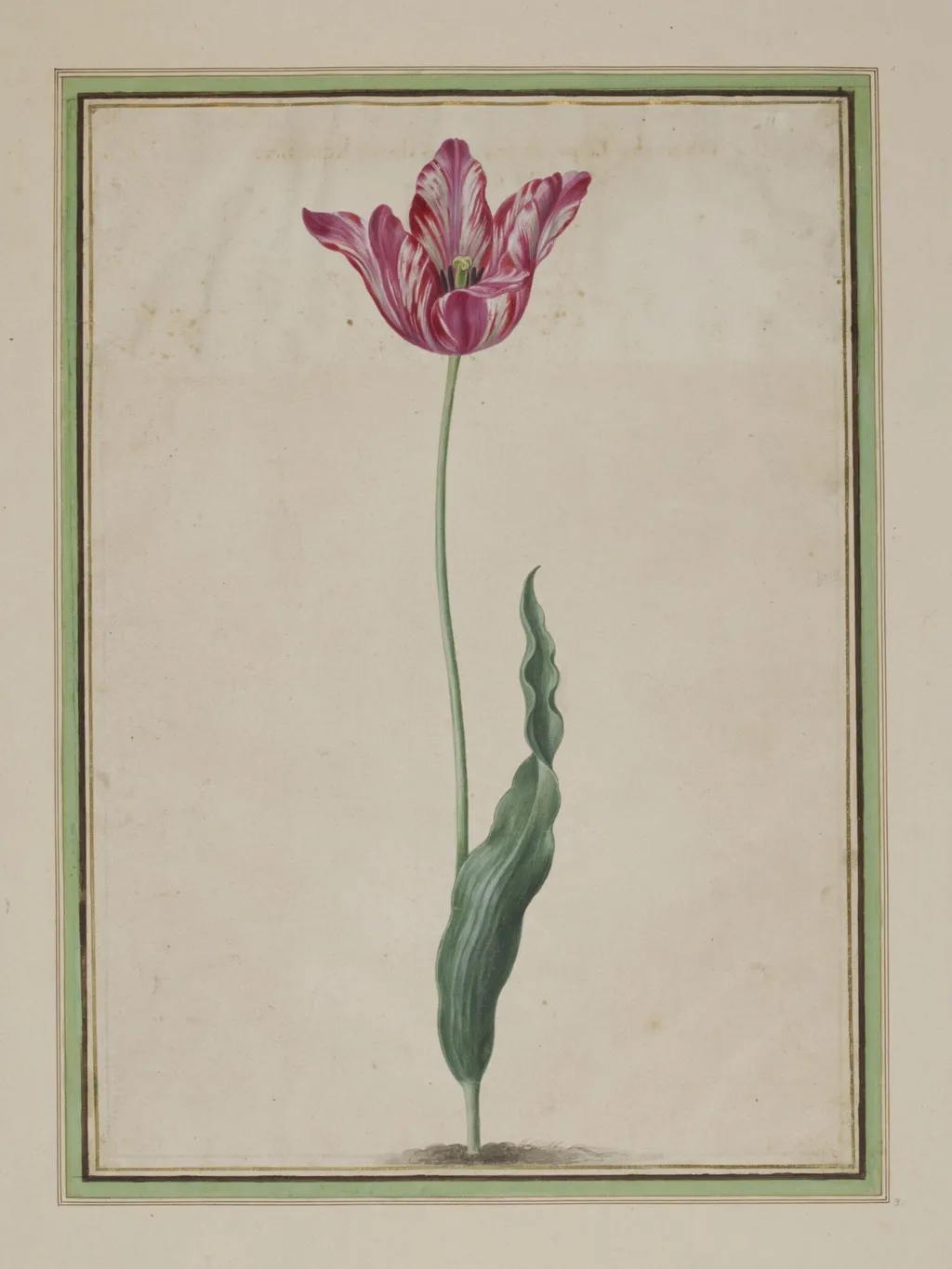 Simulacrum Scenographicum Celeberrimi Horti Itzsteinensis, by Johann Jakob Walther, watercolor, 1663