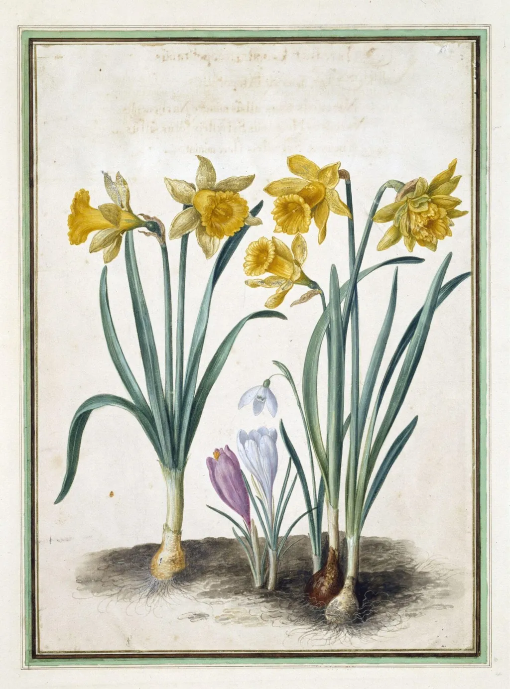 Untitled, by Johann Jakob Walther, watercolor, 1654