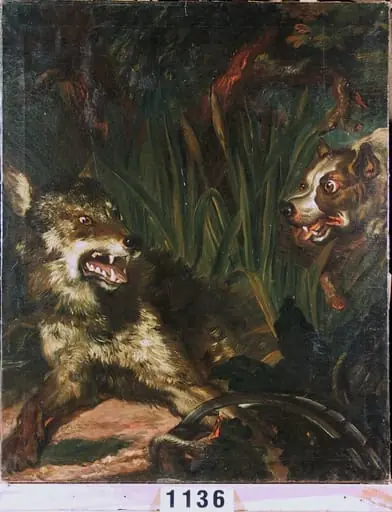 Lup prins în capcană, by Johann Martin Stock