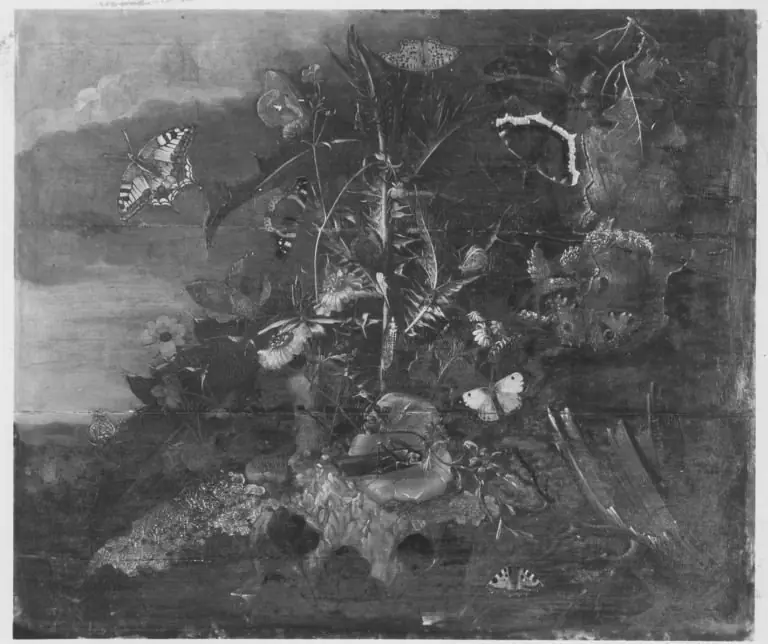 Johann Rudolf Byss