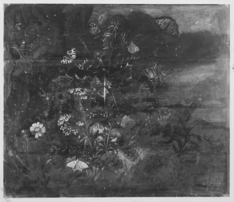 Stillleben, by Johann Rudolf Byss