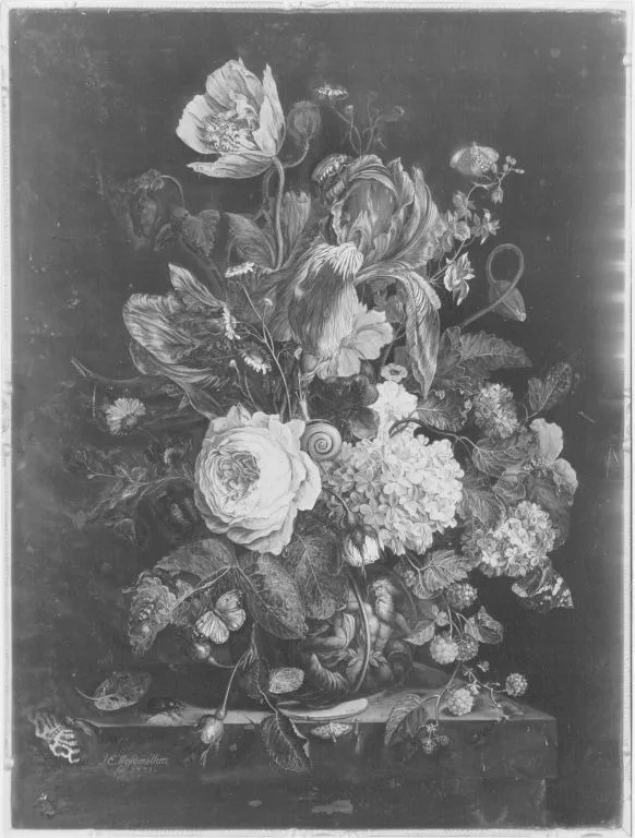 Blumenstillleben, by Johanna Elisabeth Weydmüller, unspecified, 1771