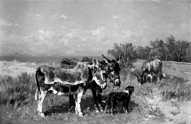Donkeys in a Meadow, by Johannes Hubertus Leonardus de Haas