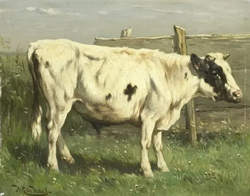 Young Bull, by Johannes Hubertus Leonardus de Haas