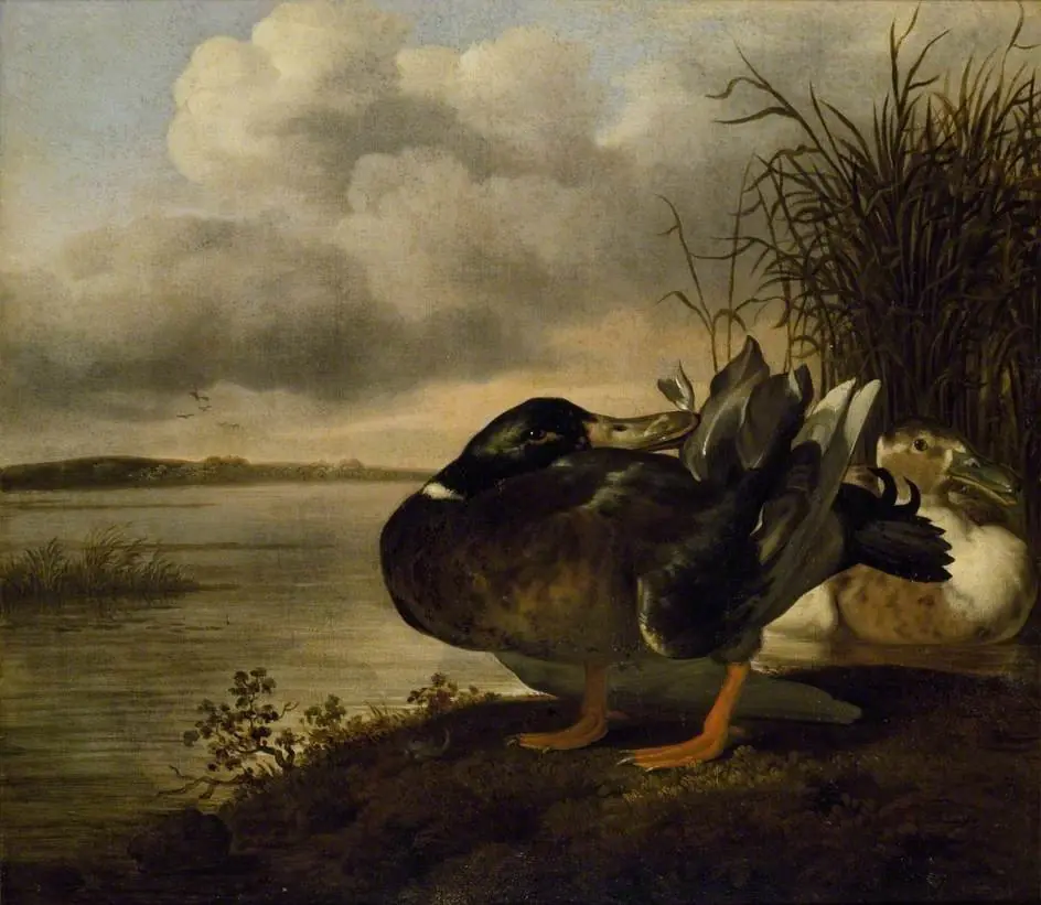 A Pair of Ducks in a Landscape, by Johannes Spruyt