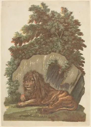 The Lion