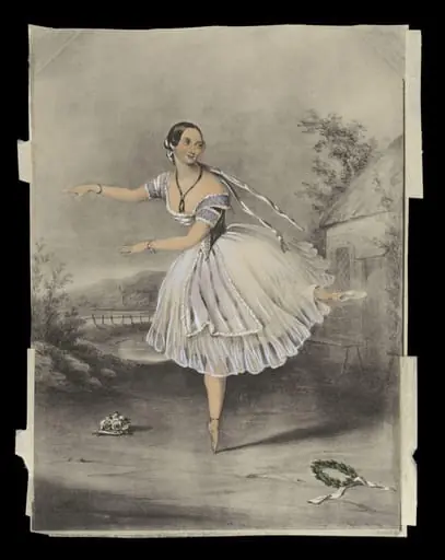 H Beard Print Collection, by John Brandard
