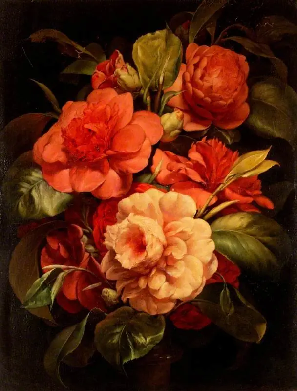 Camellias, by John Charles Robinson