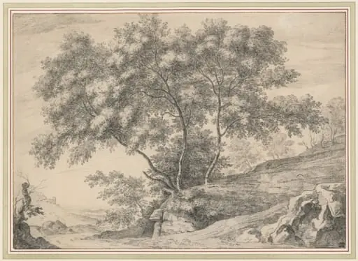 A Clump of Trees on a Rocky Outcrop, by John Claude Nattes