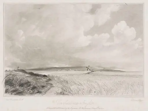 Cornfield near Brighton, by John Constable