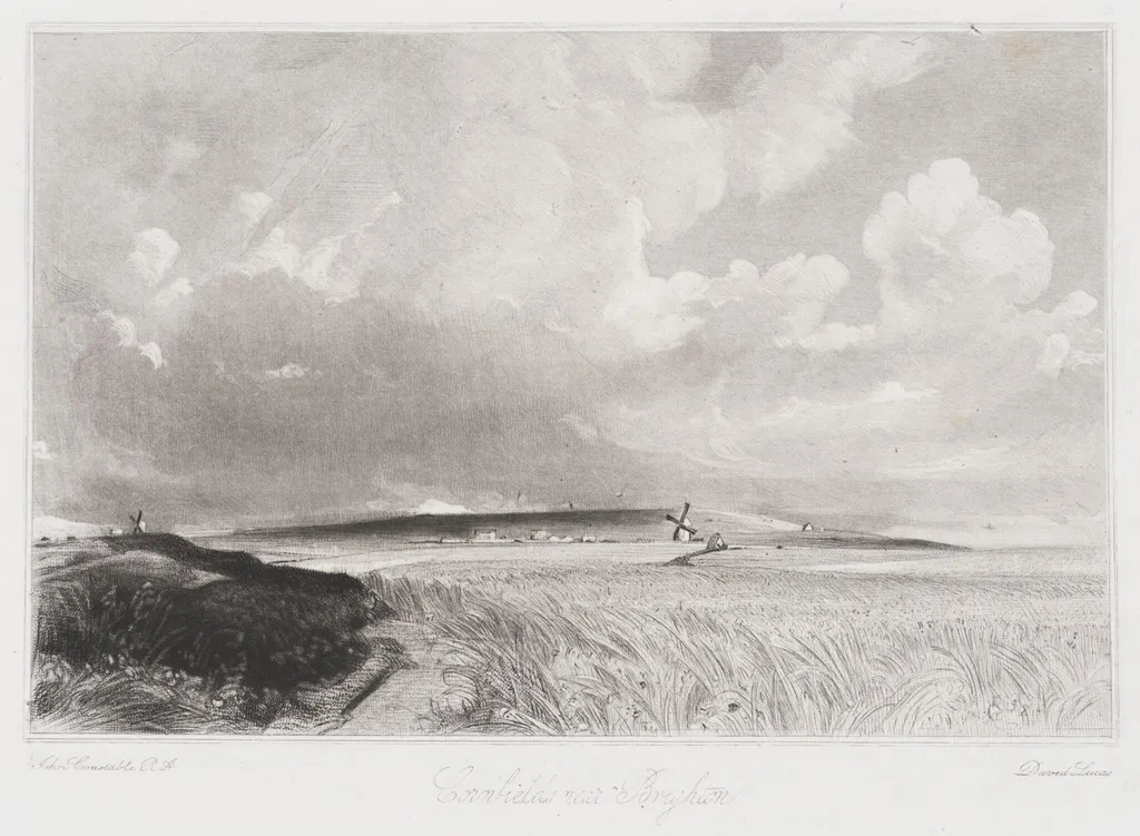 Cornfields near Brighton, by John Constable