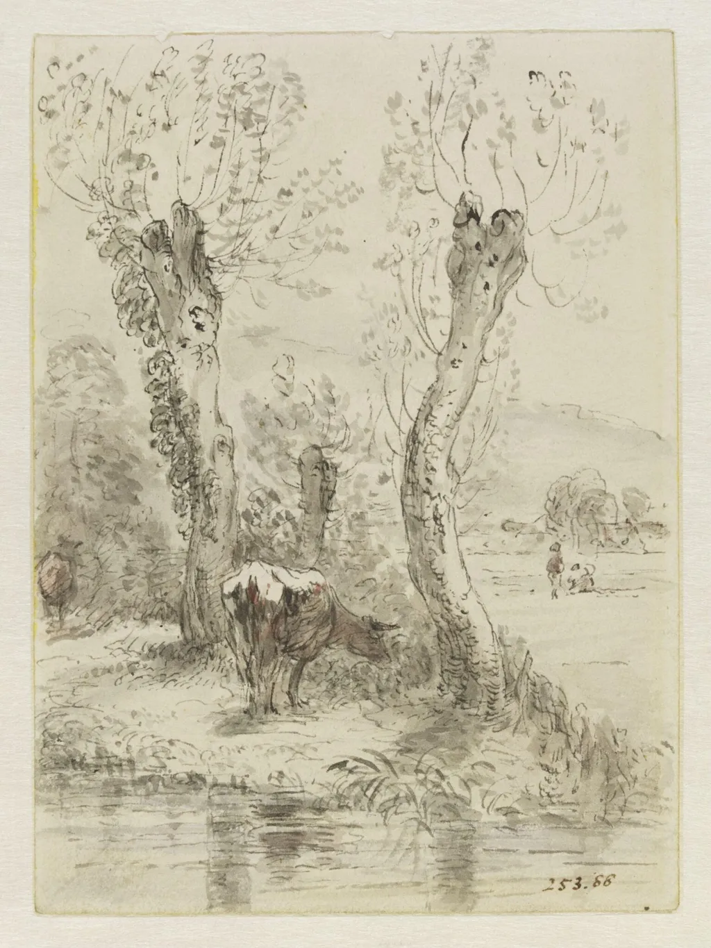Cows grazing, Salisbury, by John Constable, watercolor, 13