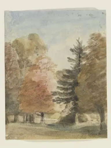 Study of trees in a park, perhaps Helmingham Park, by John Constable