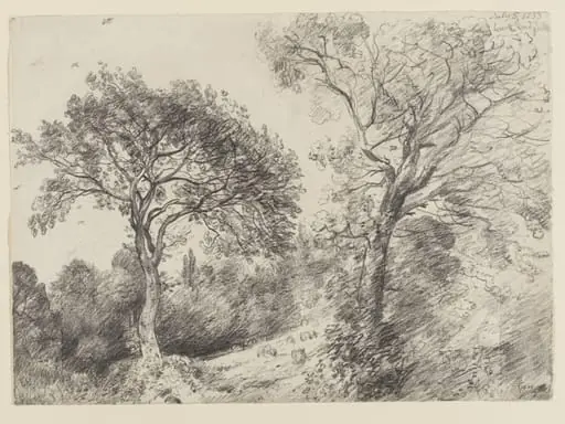 Trees in West End Fields, Hampstead, by John Constable
