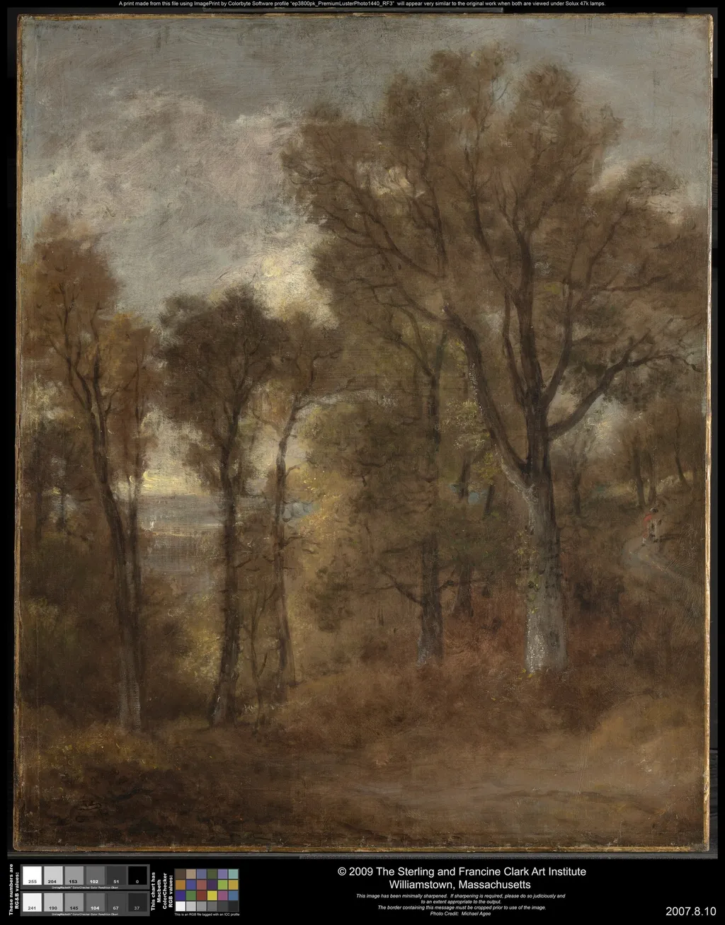 Woodland Scene Overlooking Dedham Vale, by John Constable, oil, 1816