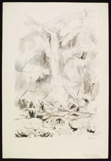 Mallyan Spout, Goathland, by John Cooper
