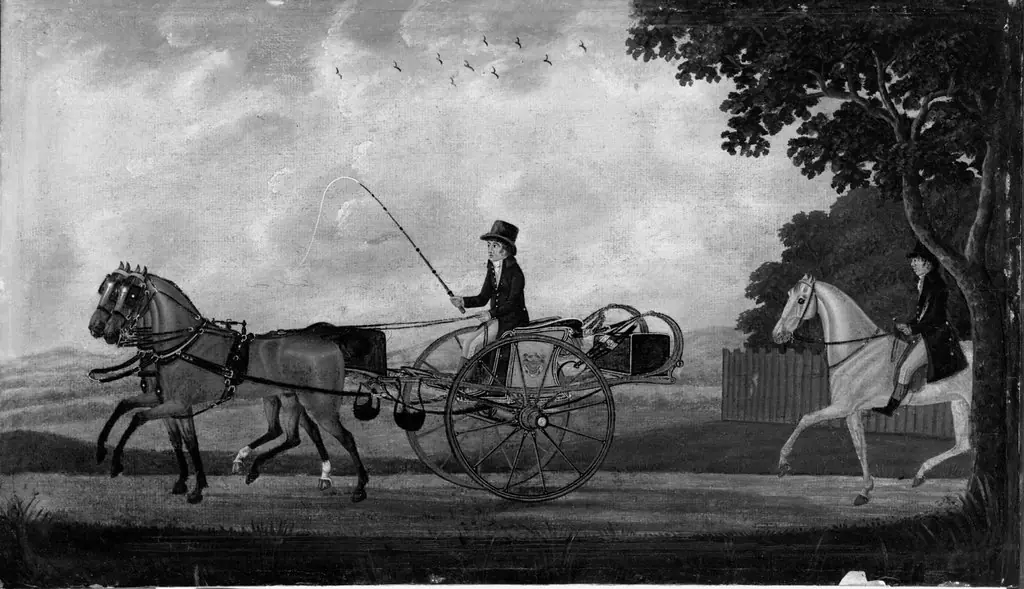 Pair in Trotting Gig