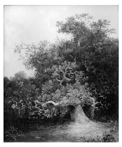 Forest scene with oak trees, by John Crome