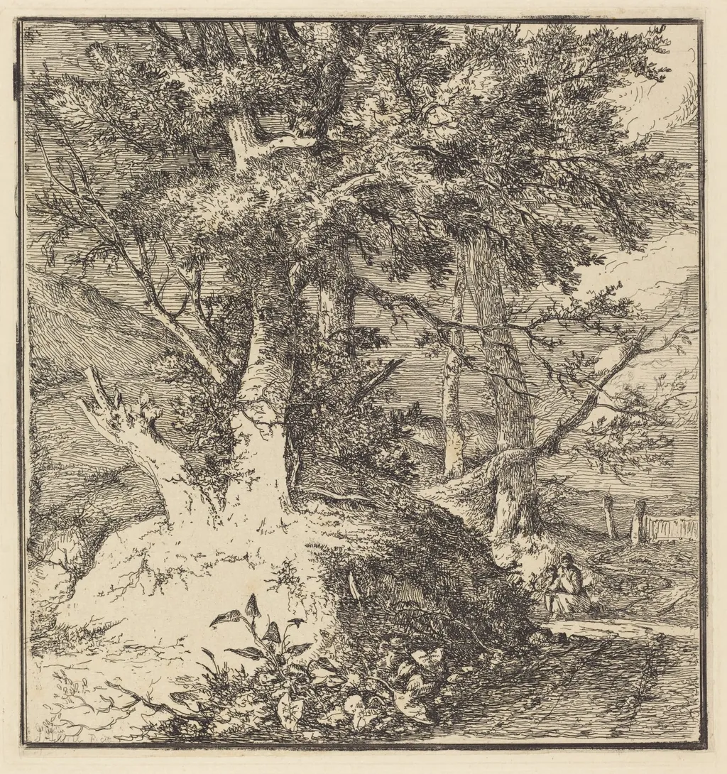 Tree on a Mound, by John Crome, ink, 1794