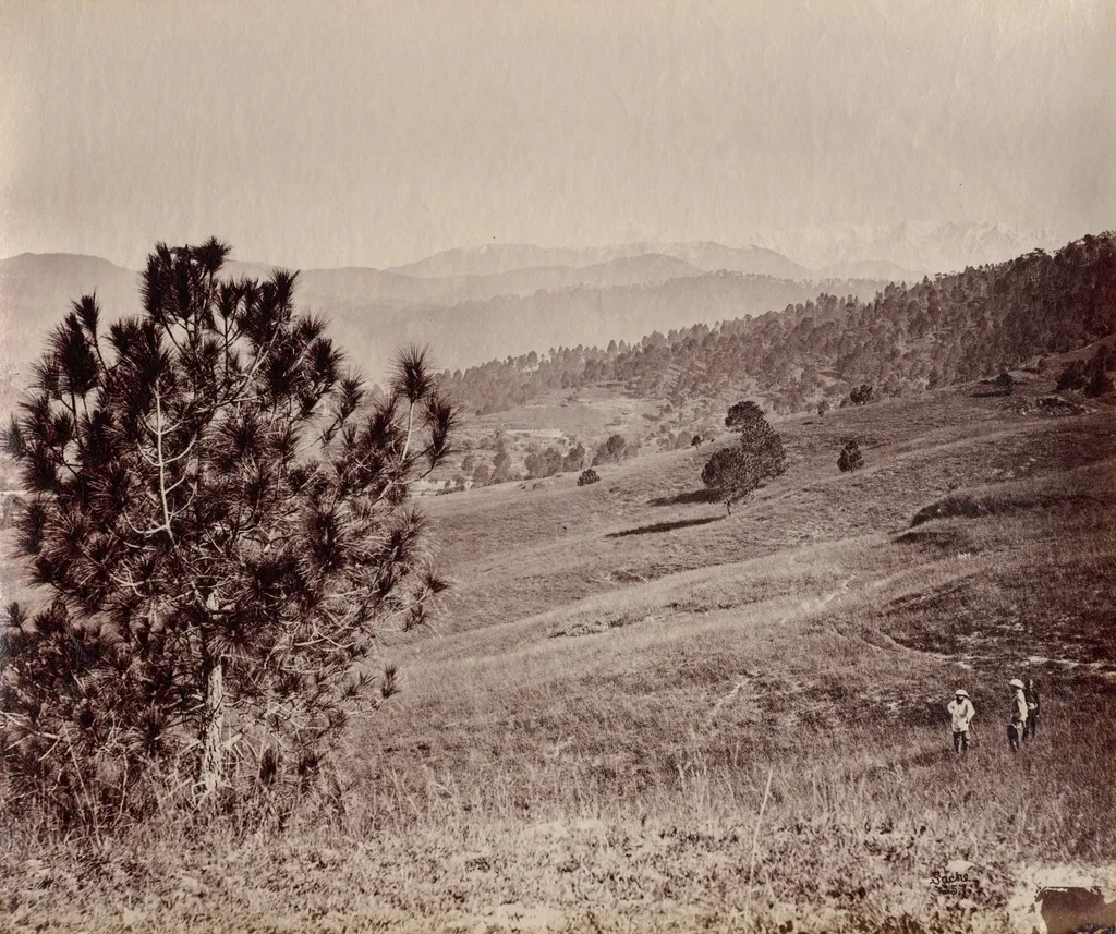 Landscape with Tree and Three Men, India, by John Edward Saché, 1869