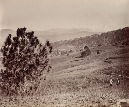 Landscape with Tree and Three Men, India, by John Edward Saché