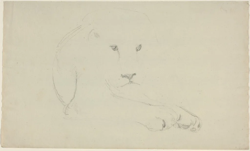 Lion, by John Flaxman, graphite, 1790