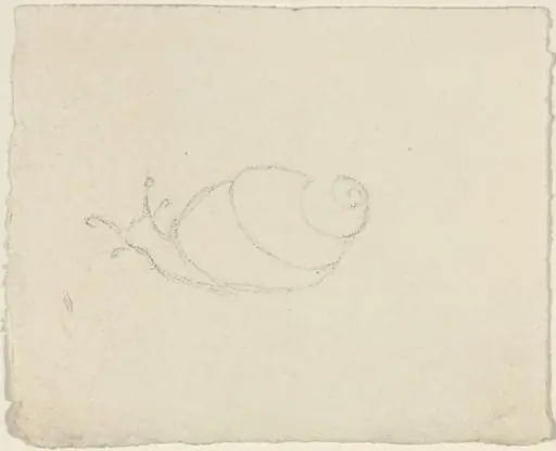 Snails [recto and verso], by John Flaxman