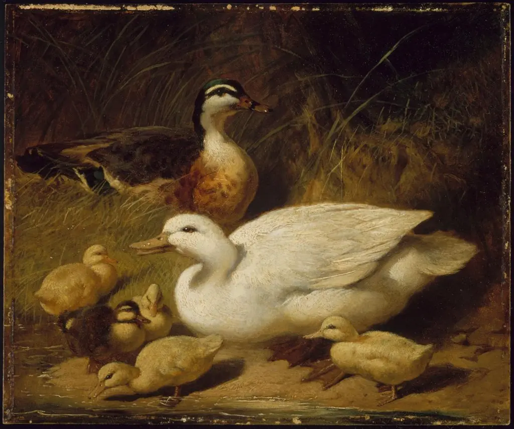 Ducks and Ducklings, by John Frederick Herring, Sr.