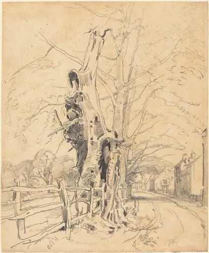 Trees by a Rail Fence, by John Frederick Kensett