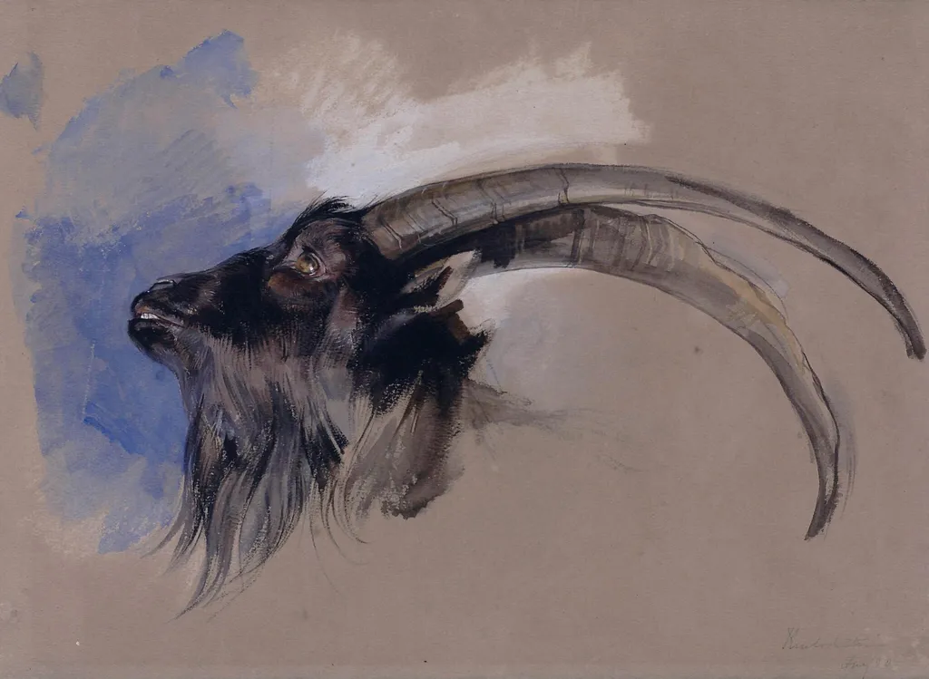 Head of an Ibex, by John Frederick Lewis, watercolor, 1827