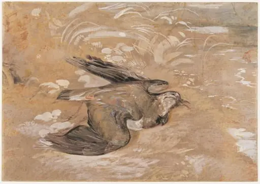 Study of a dead lapwing, by John Frederick Lewis