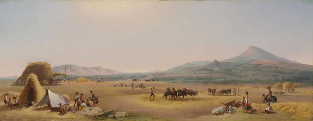 Harvest on the Roman Campagna, by John Gadsby Chapman