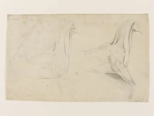 Ecorché study of a horse, by John Gibson