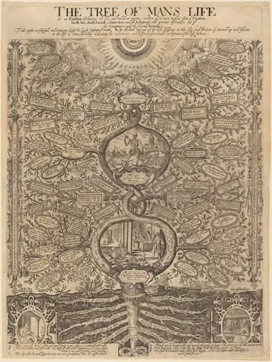 The Tree of Man's Life, by John Goddard