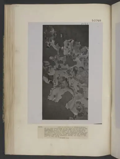 Copy of painting inside the caves of Ajanta (Cave 1), by John Griffiths