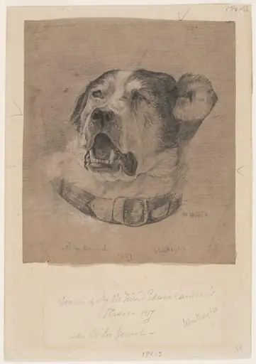 Drawing of a foxhound, by John Hayter