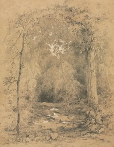 Forest Interior, by John Henry Hill