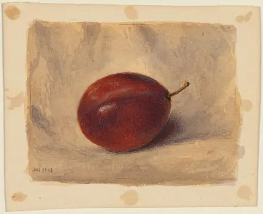 Plum, by John Henry Hill
