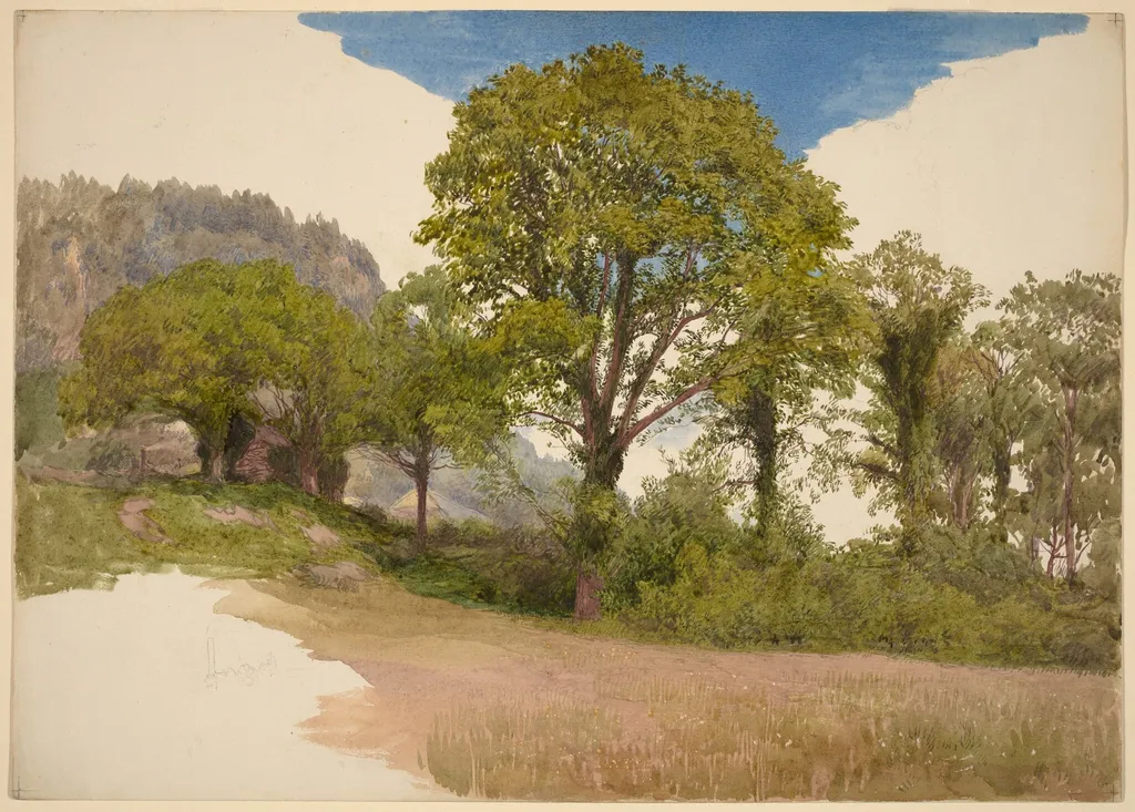 Trees Profiled against the Sky, by John Henry Hill, watercolor, 1865