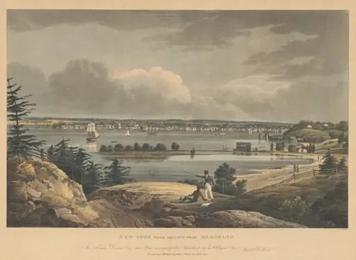 New York from Heights near Brooklyn, by John Hill