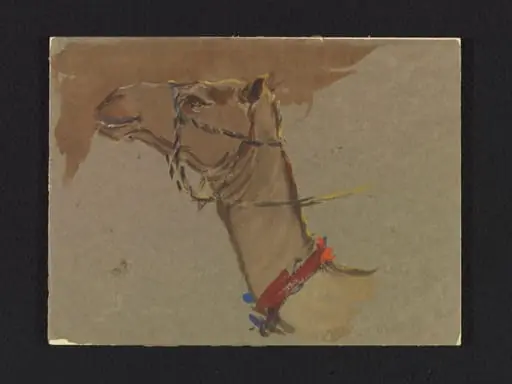 Study of a camel's head, by John J. Alsop
