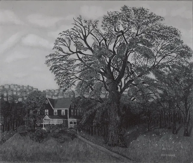 The Old Elm