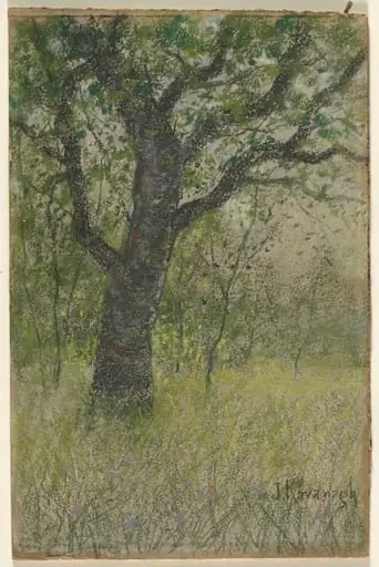 Landscape, by John Kavanagh