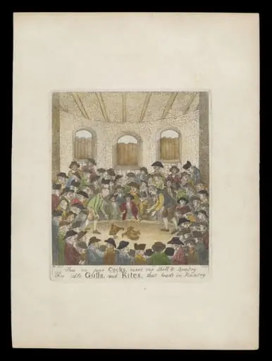 H Beard Print Collection, by John Kay