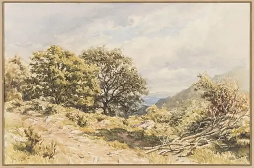 A Woody Bit, North Wales, by John Kemp