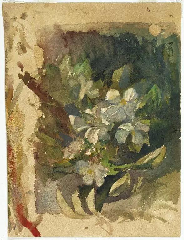 Apple Blossoms in Sunlight, by John La Farge