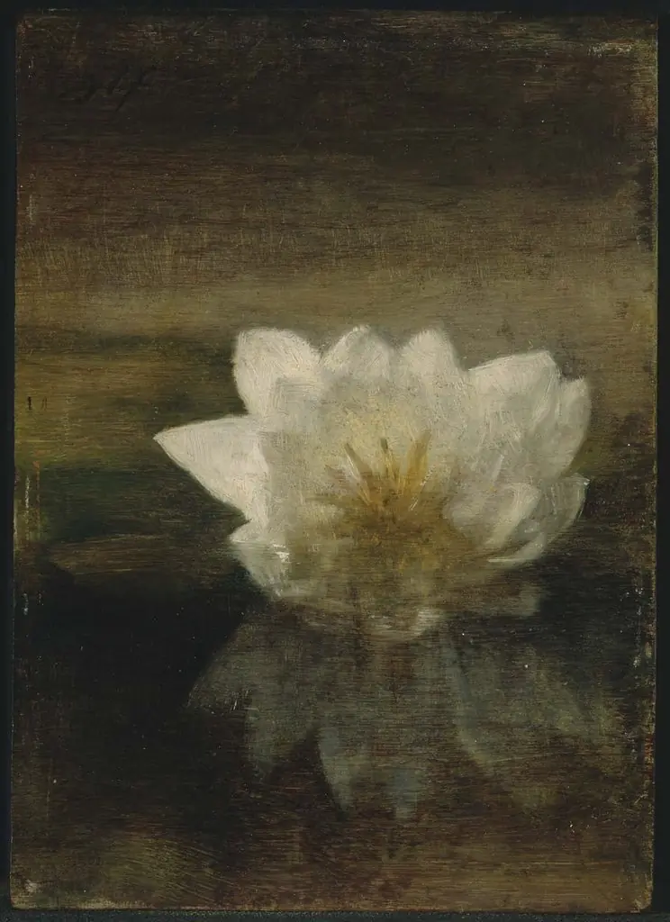 Water Lily, by John La Farge